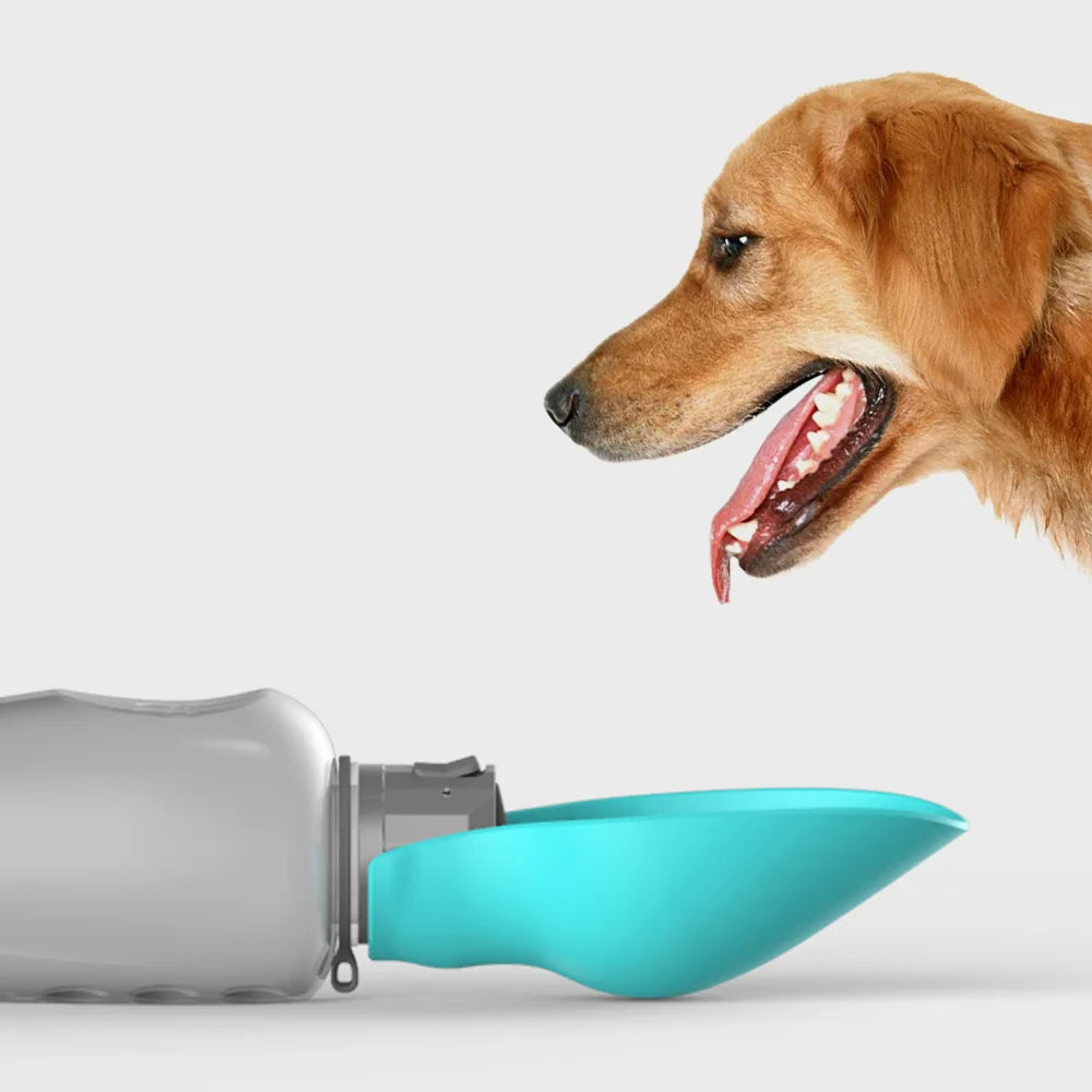 Collapsible Dog Water Bottle with Leak-Proof Design for Travel and Outdoor Use