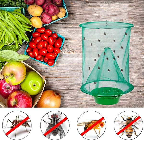 Eco-Friendly Reusable Fly Trap for Indoor and Outdoor Use