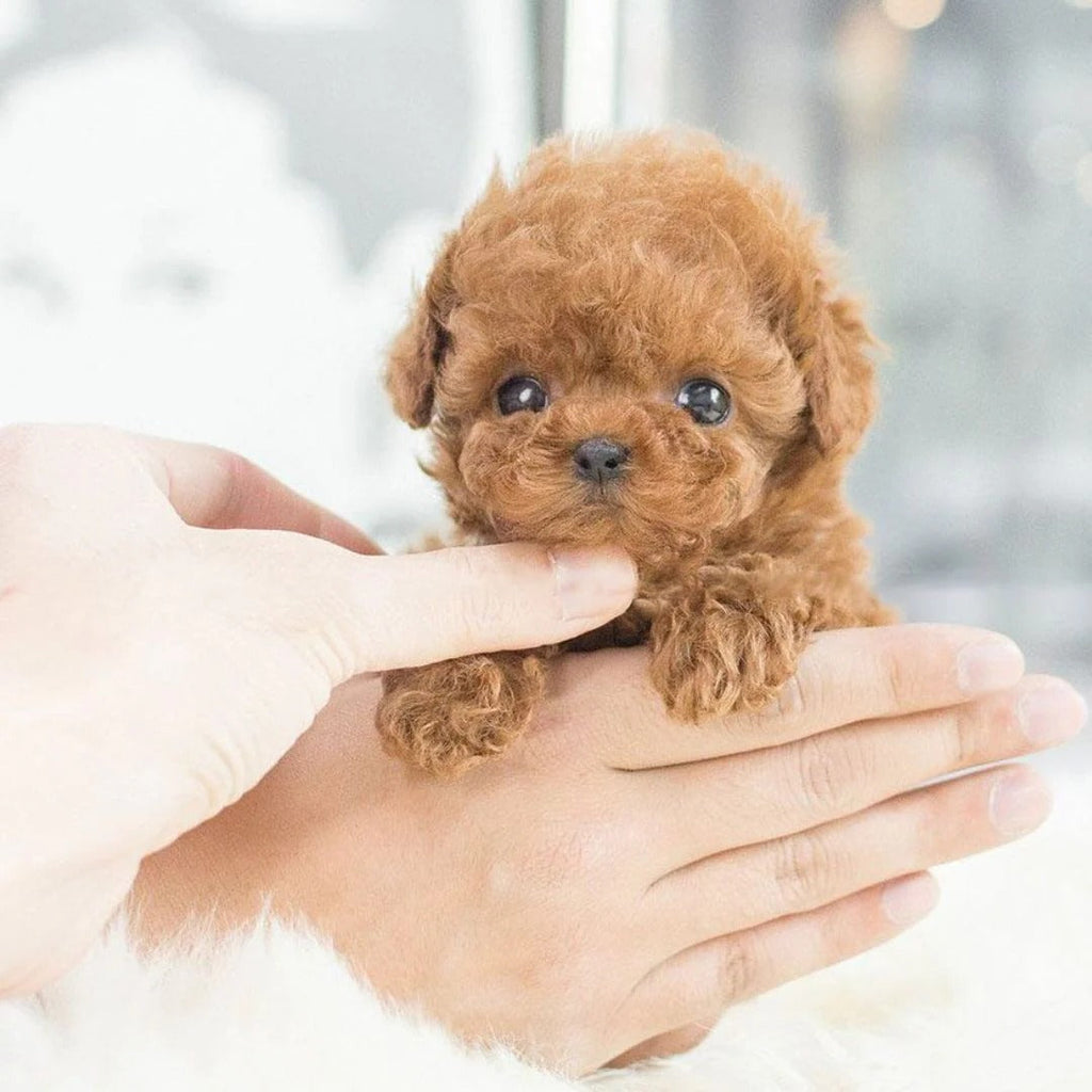 Interactive Realistic Robotic Puppy Toy for Kids - Soft Fur Design