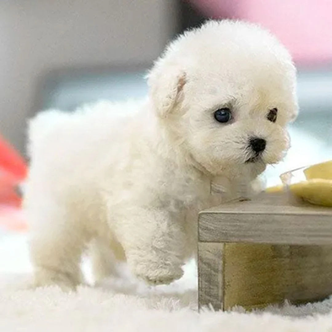 Interactive Realistic Robotic Puppy Toy for Kids - Soft Fur Design