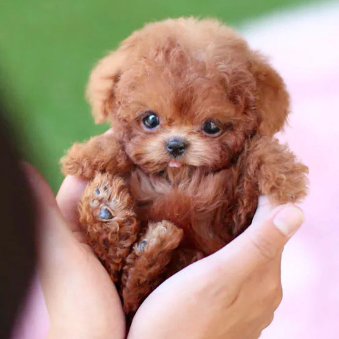 Interactive Realistic Robotic Puppy Toy for Kids - Soft Fur Design