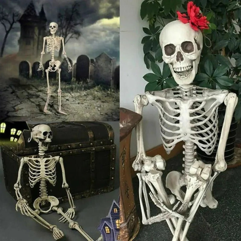 Poseable Halloween Skeleton Decoration - Realistic Plastic Design