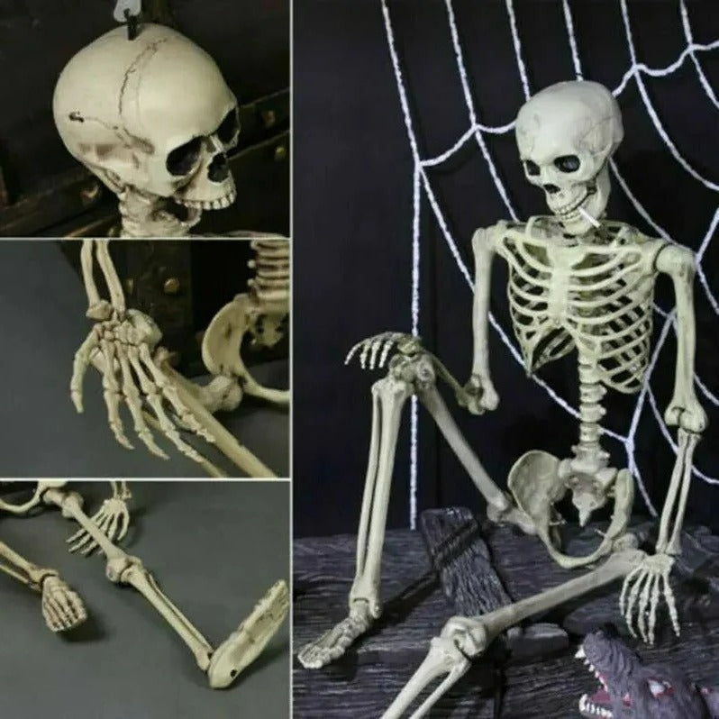 Poseable Halloween Skeleton Decoration - Realistic Plastic Design
